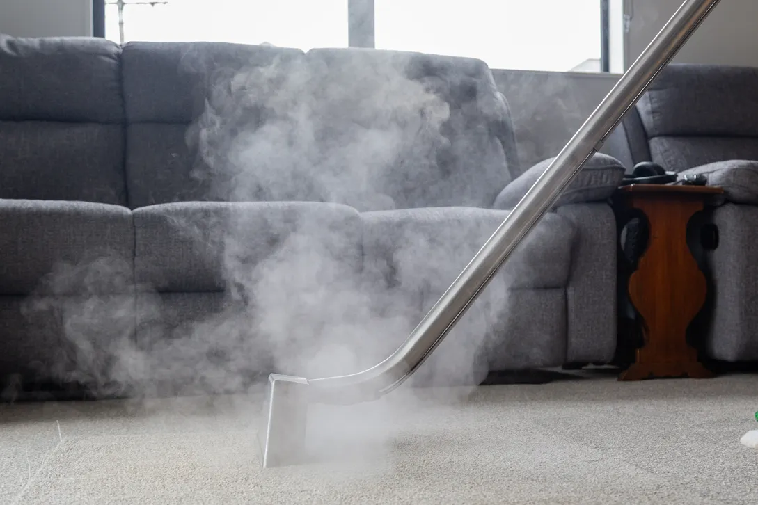 Carpet Steam Cleaning Auckland